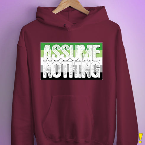 Assume Nothing Aromantic Pride Flag Hoodie - Maroon